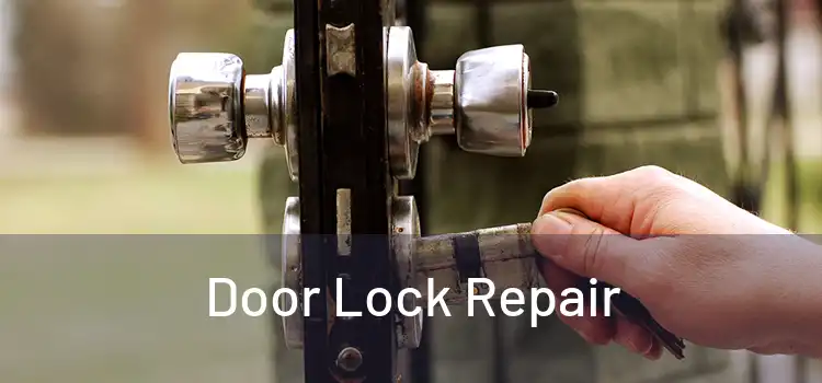 Door Lock Repair